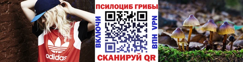 Галлюциногенные грибы ЛСД  Инза 